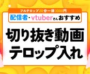 vtuber特化☆切り抜き動画にテロップ付けます vtuberやゲームに理解のあるテロップが欲しい方オススメ！ イメージ1