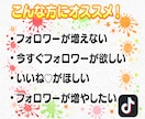 TikTok日本人フォロワー増加します リアル日本人フォロワー100名増加！！ イメージ2