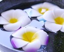 イエスかノーか？良いか悪いかタロットで鑑定します 写真付き☆おまけで、アドバイスカードを1枚引きます イメージ1