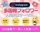 Instagram多国籍フォロワー増やします ⭐️最高品質⭐️ほぼ減少なし⭐️ゆっくり自然に増加可能 イメージ1