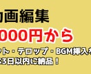 動画編集（カット・テロップ・BGM挿入など）します youtuberさん大歓迎！最短即日納品可能！ イメージ1