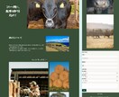 コミコミ価格★WordPressでHP作成します SEO対策/更新簡単/初めてでも安心/低コスト♪ イメージ9