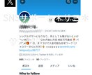 X /ツイッター日本人フォロワー100人増やします 日本人フォロワ−100人　安心の減少保証あり！！ イメージ7