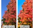 失敗した写真 綺麗にします 上手く撮れなかった写真 加工して綺麗にします！ イメージ3