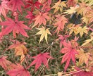 旅行先で撮影した画像を提供します 思い出の写真を集めてみました！ イメージ3