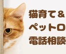 猫育て＆ペットロス電話相談承ります 愛猫との幸せな日々をサポート。悲しみも共に乗り越えましょう。 イメージ1