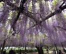 なんでも聞きます 1分からでも！長時間でも！あなたのお悩みを聞きます！ イメージ3