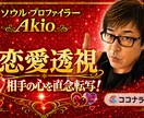 電話で霊視◆恋愛、仕事、人間関係の全てが解ります ココナラ初登場！【ソウル・プロファイラー】連休前特別鑑定 イメージ3