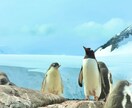 世界二周した旅人が使える英会話を教えます TOEIC925点・世界一周・英語教員免許・米留学経験あり イメージ2