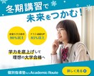 先着10名様限定！低価格でWEBバナー制作します 修正無制限！低価格・高品質なWEB画像をご提供します！ イメージ4