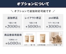 ECモール向けメイン画像(第一画像)を作成します 【丸投げOK】EC実務経験を活かし市場分析から構成・制作まで イメージ7