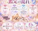 愛犬・愛猫の本音と想いを読み解きます 「うちに来て幸せ？」言葉にならない気持ちを丁寧にお届け イメージ3
