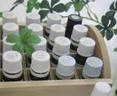 体質診断に基づき、あなたに最適な香りをご案内します ◇自然界で生き抜く植物のパワーを味方に◇ イメージ4