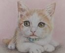 ペットの似顔絵を色鉛筆で描きます 大好きなペットとの思い出を色鉛筆画にしてみませんか？ イメージ4