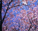 あなたのお気持ちまるごと受けとめます 愚痴/悩み/雑談/自慢/スピ話/短時間大歓迎！ヒーリング付き イメージ2