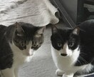 悩み事を占います 誠実に、本気で向き合います。傷つける言葉は使いません イメージ1