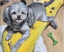 ペットのお写真を味のある油絵にします 現役藝大生がペットとの思い出を形にするお手伝いをします！ イメージ8