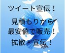 最長30日間までTwitterで50回宣伝します 業界最安値！日時指定可能！SNS宣伝！ イメージ1