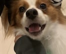 サプライズや、思い出など、素敵な動画作ります 時間がない方必見！代行して動画を作ります！ イメージ1