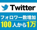 Twitterフォロワー+100人から増加します 先着5名様限定 特別価格！ ※埋まり次第値上げします イメージ1