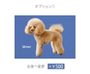 データ納品｜ペットの写真を水彩風アートに仕上げます 名前入れ無料｜オプションで装飾付きメッセージ可能 イメージ4
