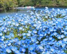 国内旅行の相談にのります 貴方の趣味に合った内容にします イメージ3