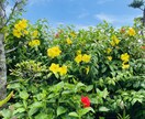 何だかモヤモヤする心の隙間...1分〜お埋めます しんみりしたお話しや、きちんと聞いて欲しい方向けです！ イメージ4