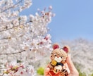 ご家族のペットの編みぐるみを制作いたします 猫ちゃん、犬ちゃん等の編みぐるみの制作いたします！ イメージ2