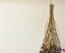 誰でも作れちゃうドライフラワー教えます 2ステップでちょー簡単！まさかの"アレ"を使います！！ イメージ1