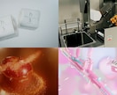 元映像会社デザイナーが高品質なCG映像を制作します TVCM・映画レベルのクオリティを最短即日対応 イメージ1