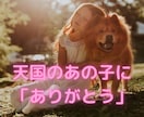 ペットロスから立ち直れたきっかけをお伝えします 大事なあの子に「ごめんね」と「ありがとう」を。 イメージ1