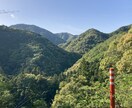 和歌山県への移住・二拠点生活の相談に乗ります Iターン当事者として現地から生の声をお届けします イメージ2