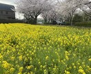 ピアス開けたくなるのわかります 開けたくなるのは自傷行為を我慢してる証拠。 イメージ1