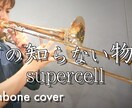 楽器演奏の映像制作をします 楽器（または歌）演奏されている動画の制作をさせて頂きます イメージ10