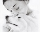 ペット・動物の【鉛筆画】を作成します 犬猫小鳥うさぎなど、プレゼントやご自宅用に。 イメージ9
