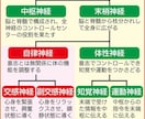 万病を癒すやくし呼吸療法をご指導します 呼吸が変われば、心・身体・動き・生活・運命が変わる イメージ2