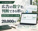広告CSVから改善が見えるレポートを作ります 毎週の集計を簡単にする指標表と更新手順を納品 イメージ1