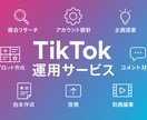モニター案件　TikTokの運用代行をします 集客・求人・売上向上をご支援致します！ イメージ1
