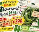 道の駅・農産物直売向けのPOPやチラシを作成します 「農産物の魅力を伝える販促POP制作」 イメージ6