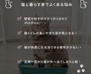 猫と暮らす家｜建築士が理想の間取りを添削します 猫も人も快適に。動線・日向・隠れ家を建築士が設計目線で診 イメージ2