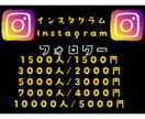 インスタグラムのフォロワー増加（宣伝・拡散）します 安全・安心のサービスをお届けします。 イメージ1
