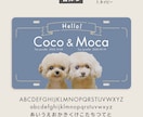 写真入り犬多頭さんペット用カートプレート作成します イベントが楽しくなる！デザイナーの高品質セミオーダー送料込 イメージ8