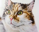 ペットのリアルな似顔絵を描きます ポストカードサイズ。世界に一つ、心に残るペット似顔絵。 イメージ2