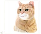 シンプルな猫のイラストを描きます 猫を中心に色鉛筆画やアイコンを描きます！ イメージ1