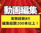 実務経験あり＊丁寧にあなたの動画を編集します 【YouTube向け】カット・テロップからプロ仕様の編集まで イメージ1
