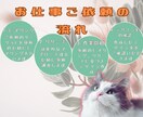 Instagraｍ運用代行いたします 効果を導くインスタグラム運用のお手伝い イメージ2