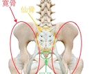 お身体【特に骨盤】の歪み相談に乗ります のべ23000人の施術実績を持つ整体師が歪みの改善をサポート イメージ7