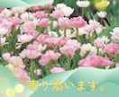 相手の気持ちがわからない複雑恋愛のお悩みを伺います 誰にも話せない恋だからこそ安心して話せる秘密の相談先 イメージ7