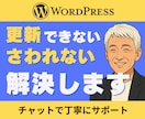 WordPressの更新・触れない問題を解決します 操作方法やエラーをチャットで丁寧にサポート イメージ1