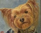 写真から愛犬の似顔絵を描きます 大切な家族の一枚を形に虹の橋を渡った子の思い出にいかが？ イメージ2